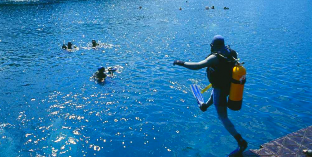 Wyprawy przyrodnicze z dziećmi