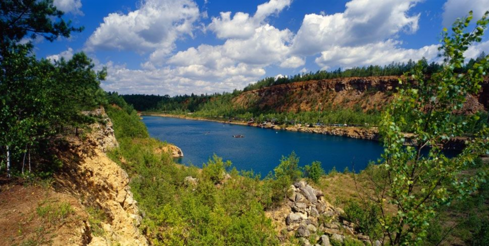 Wyprawy przyrodnicze z dziećmi