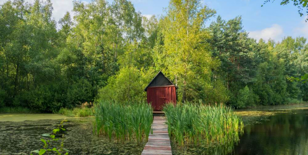 Wycieczka rowerowa z dzieckiem