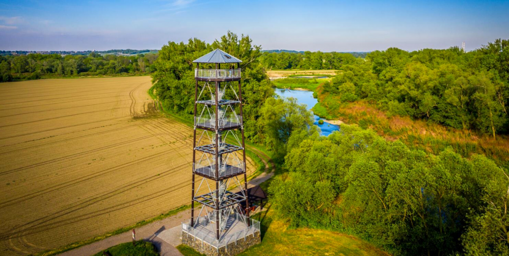 Co robić z dzieckiem
