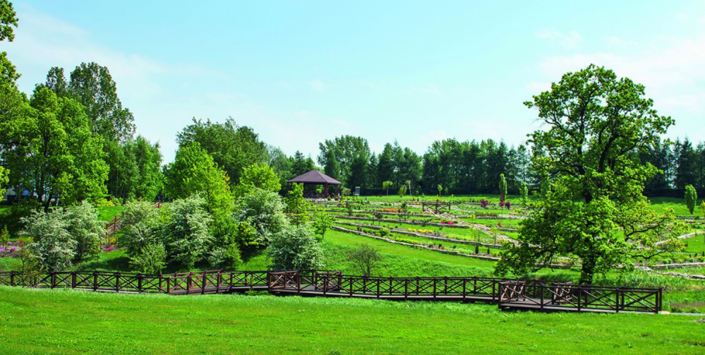 Z dziećmi do Mikołowa