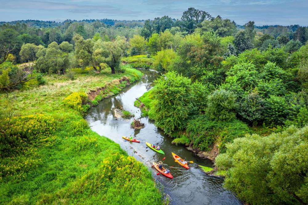 Rudy i atrakcje dla dzieci